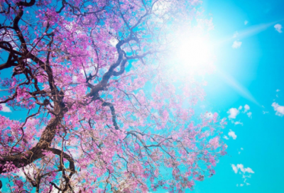 ​伤人的游戏情侣网名大全(精选214个)