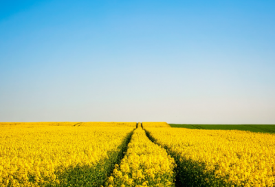 ​梦幻诛仙情侣网名(226个)