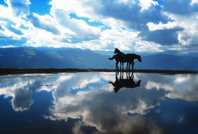 ​好听的cf情侣名字(优选226个)