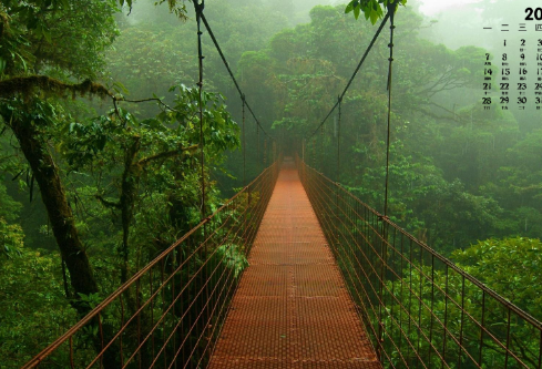 1690587719473267.png image.png