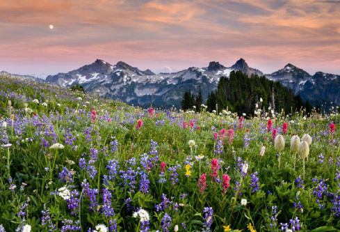 1690589716771040.png image.png