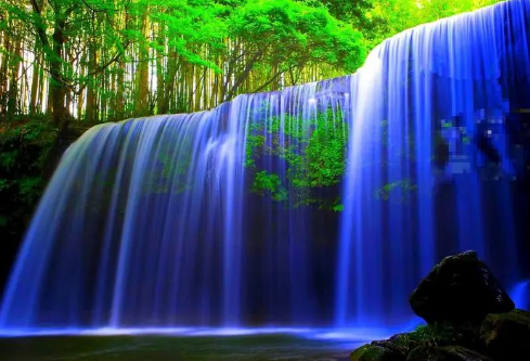 1690589882500264.png image.png