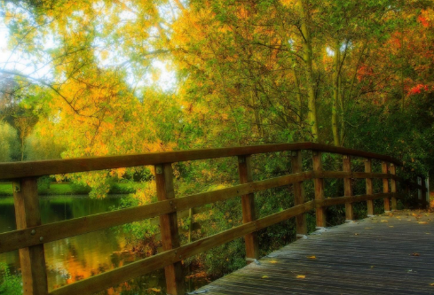 1690590382555341.png image.png