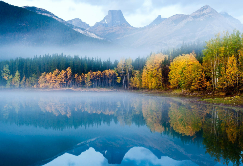 1690590548660930.png image.png