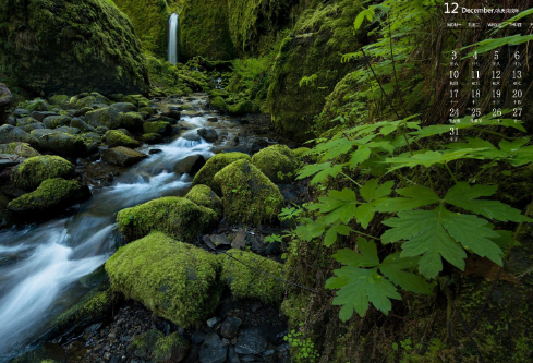 1690591215832341.png image.png