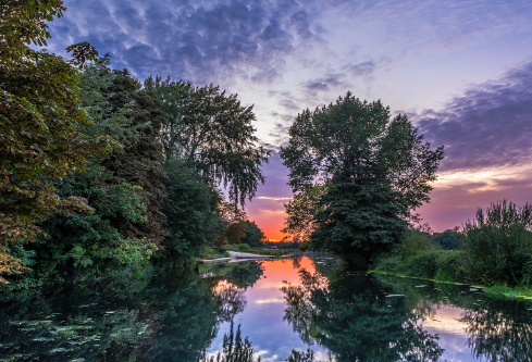 1690591548277553.png image.png