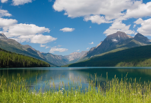 1690592546497975.png image.png