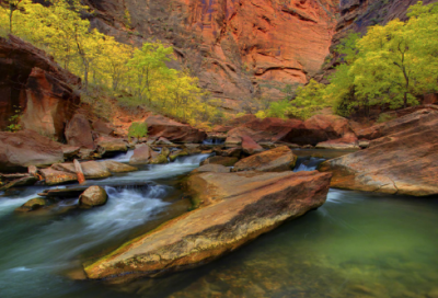 ​超级可爱的情侣网名(共187个)