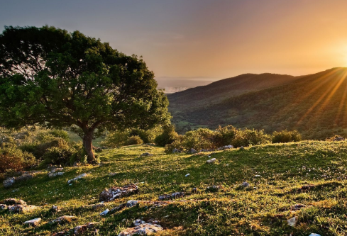 1690593711461513.png image.png