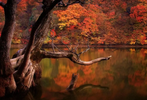 1690594044316665.png image.png