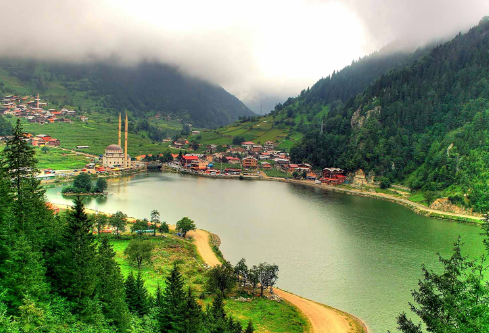 1690595375479529.png image.png