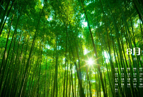 1690596540771180.png image.png