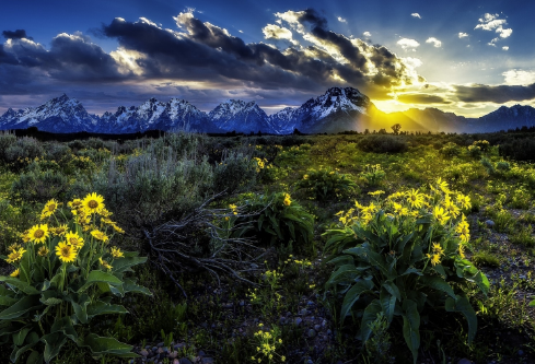 1690596706316205.png image.png