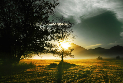 1690597206720004.png image.png