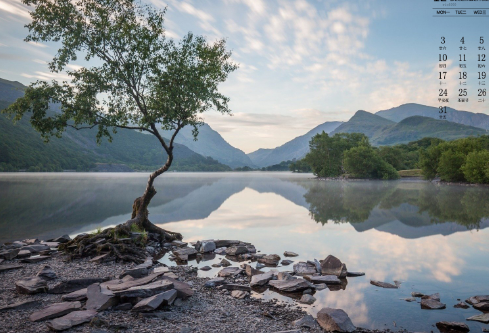 1690599202178013.png image.png