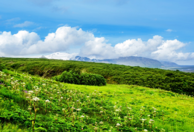 ​好听的情侣游戏名字4个字(精选198个)