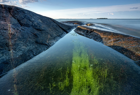 1690602365952255.png image.png