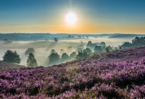 1690605360619150.png image.png