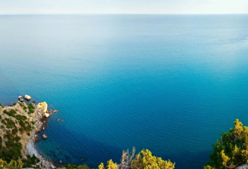 1690606192280558.png image.png