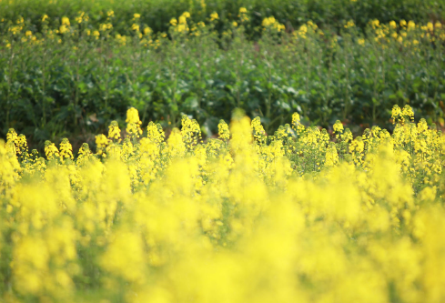 1690606858185204.png image.png