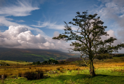 ​暖心甜蜜的情侣网名(共193个)