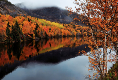 ​史上最幸福的情侣网名大全(精选154个)