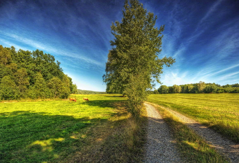 1690608522796757.png image.png