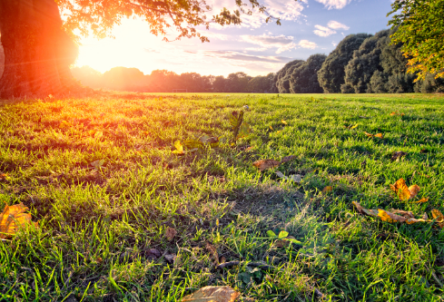 1690610186633231.png image.png