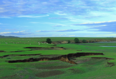 1690610852975964.png image.png