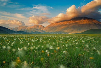 ​时尚的游戏情侣名字(共255个)