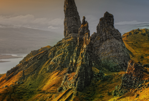 1690612349959677.png image.png