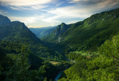 ​诛仙手游情侣名字大全(156个)