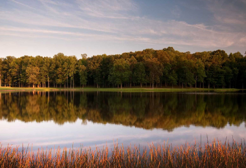 1690614014252854.png image.png