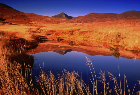 1690614845558929.png image.png