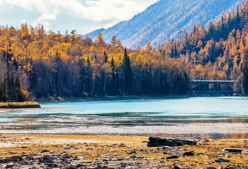 1690618342236786.png image.png