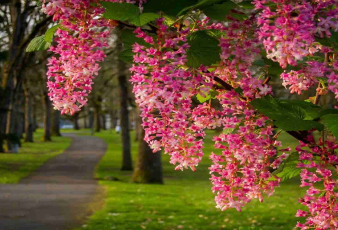 1690618841527546.png image.png