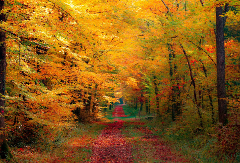 1690619008332445.png image.png