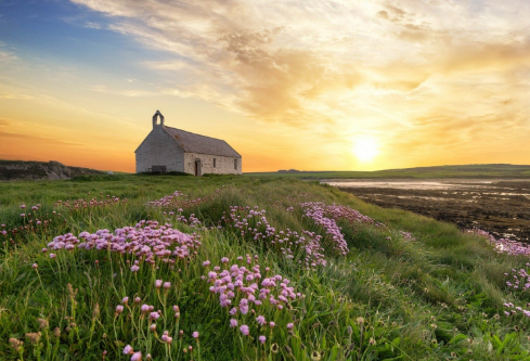 1690619507165447.png image.png