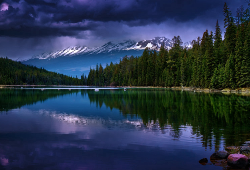 1690619840925533.png image.png