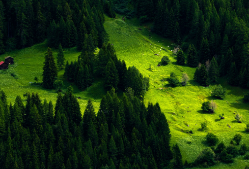 1690620173597672.png image.png