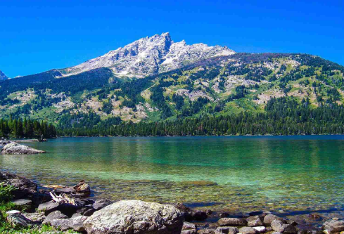 1690620506661030.png image.png