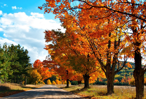 1690620672748006.png image.png