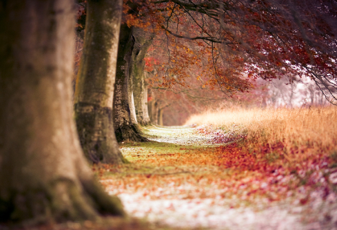 1690621172570198.png image.png