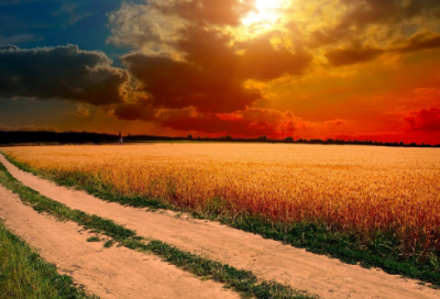 ​好听小清新情侣名字两个字(222个)