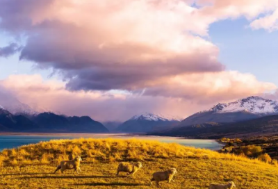 ​超好听的游戏情侣名字(精选154个)