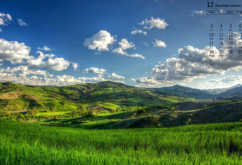 1690624835656616.png image.png