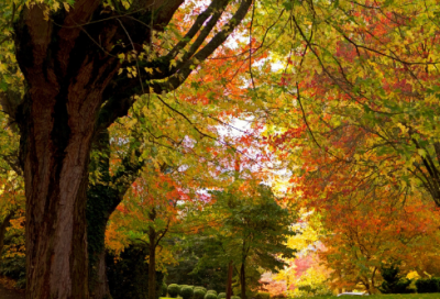 ​情侣qq名字大全(164个)