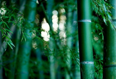 ​两个字的炫舞情侣名字(227个)