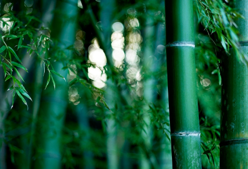 1690625335207612.png image.png