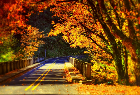 1690626168151448.png image.png